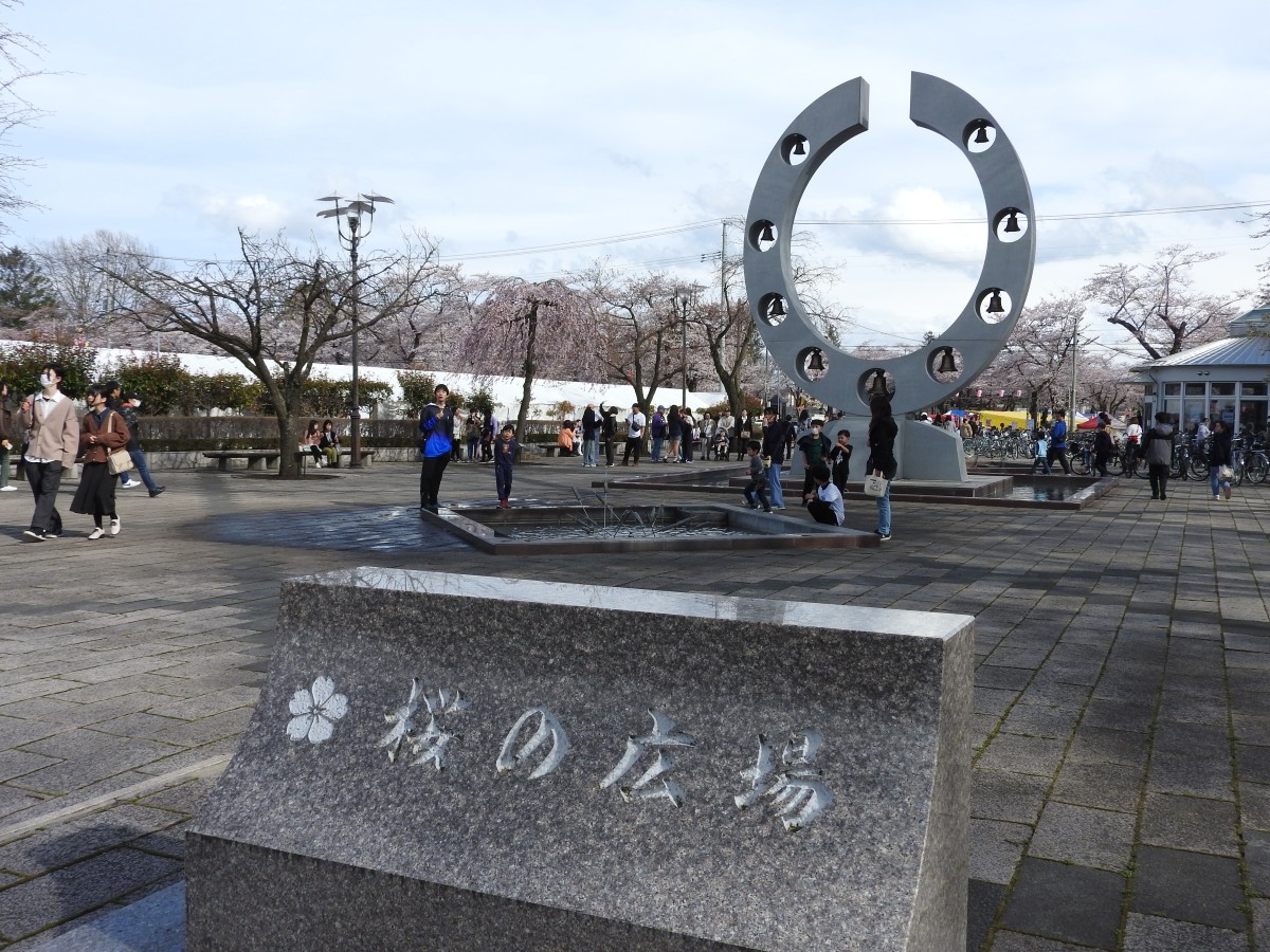 桜の広場